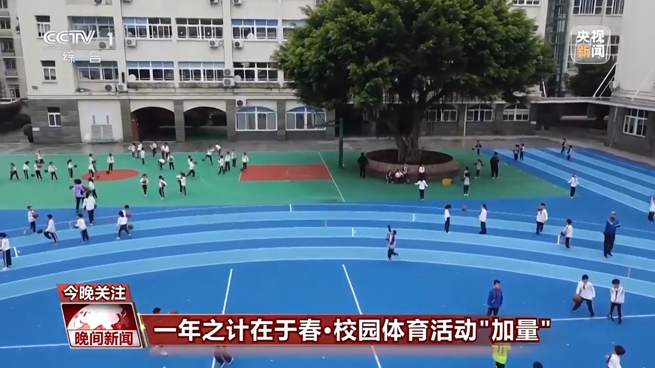 决定