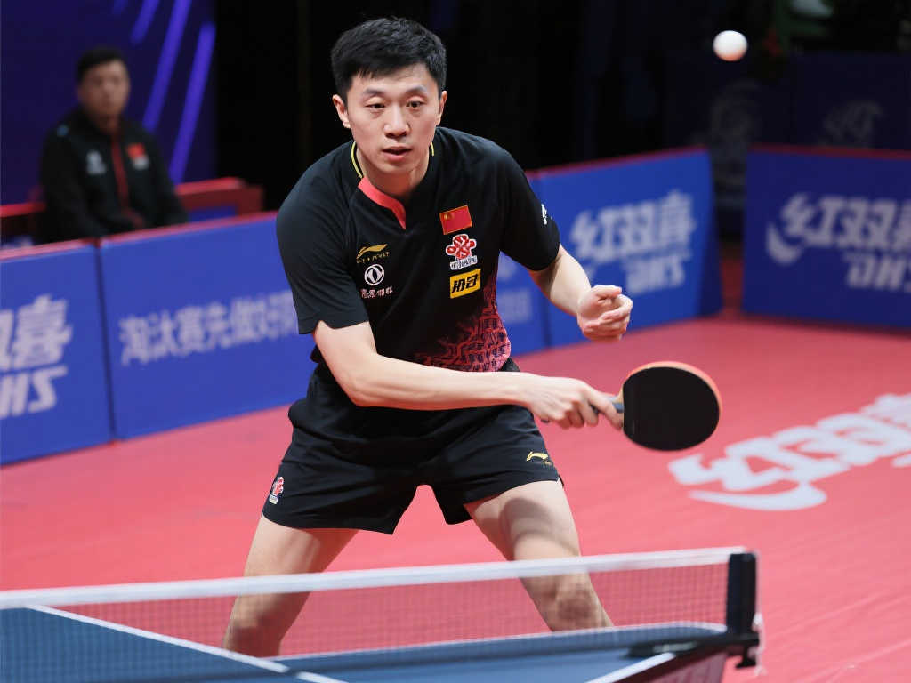 提供了很好 提供了很好